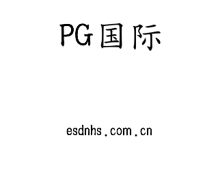 PG国际